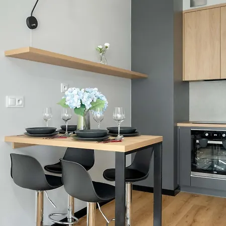Modern With Balcony By Renters * Poznan