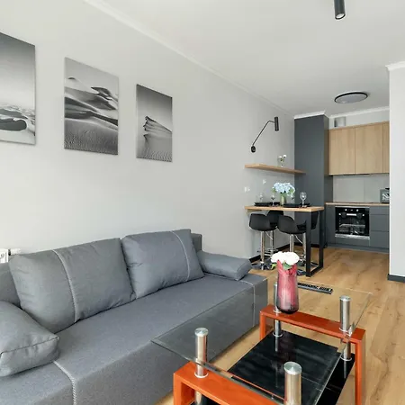 Apartment Modern With Balcony By Renters *